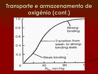 Transporte e armazenamento de oxigénio (cont.) 