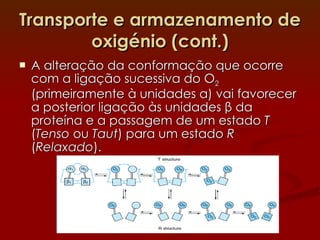 Transporte e armazenamento de oxigénio (cont.) A alteração da conformação que ocorre com a ligação sucessiva do O 2  (primeiramente à unidades  α ) vai favorecer a posterior ligação às unidades  β  da proteína e a passagem de um estado  T  ( Tenso  ou  Taut ) para um estado  R  ( Relaxado ). 