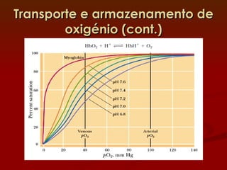 Transporte e armazenamento de oxigénio (cont.) 
