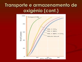 Transporte e armazenamento de oxigénio (cont.) 