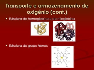 Transporte e armazenamento de oxigénio (cont.) Estrutura da hemoglobina e da mioglobina Estrutura do grupo  Heme: 