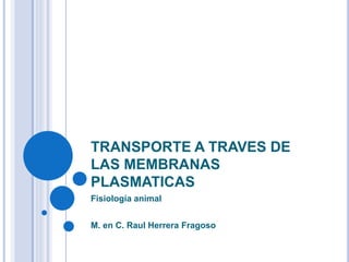 TRANSPORTE A TRAVES DE
LAS MEMBRANAS
PLASMATICAS
Fisiología animal
M. en C. Raul Herrera Fragoso
 