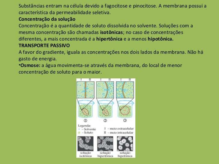 Controla A Entrada E Saída De Substâncias Da Célula