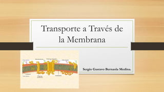 Transporte a Través de
la Membrana
Sergio Gustavo Bernaola Medina.
 