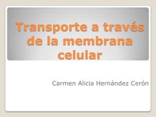 Transporte a través de la membrana celular Carmen Alicia Hernández Cerón 