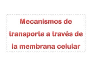 Mecanismos de transporte a través de la membrana celular 