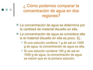 ¿ Cómo podemos comparar la concentración de agua en dos regiones? La concentración de agua se determina por la cantidad de material disuelto en ella. La concentración de agua se considera alta si el material disuelto en ella es poco. Ej.: Si una solución contiene 1 g de sal en 1000 g de agua, la concentración de agua es alta. Si una solución contiene 100 g de sal en 1000 g de agua, la concentración de agua es menor que en la primera solución. 
