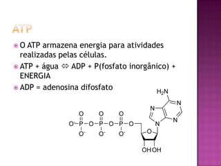 Transporte AtivoÉ a passagem de umasubstância de um meiomenosconcentradopara um meiomaisconcentrado (contra o gradiente), queocorre  com gasto de energia a partirdadissociação de umamolécula de AdeninaTrifosfato (ATP).