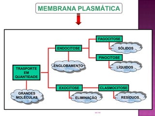 Um caso a parte - translocação de grupo	A translocação de grupo é um tipo de transporte ativo que possui um diferencial:	A energia é gasta para transportare para modificar a substância transportada. 	A membrana é impermeável à “nova” substância, já dentro da célula.	Exemplo: Moléculas de açúcares passam pelo processo.