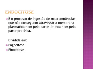 Endocitose e exocitose