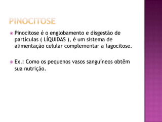 FagocitoseFagocitose é  o englobamento  e digestão das de partículas ( SÓLIDAS ) ou de célulasmortasporfagócitosoucélulasamebóides.Ex.: Na corrente sanguínea ocorre quando o sistema imunológico identifica um corpo estranho que será englobado e digerido pelos leucócitos. 