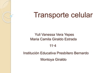 Transporte celular
Yuli Vanessa Vera Yepes
Maria Camila Giraldo Estrada
11°4
Institución Educativa Presbítero Bernardo
Montoya Giraldo
 