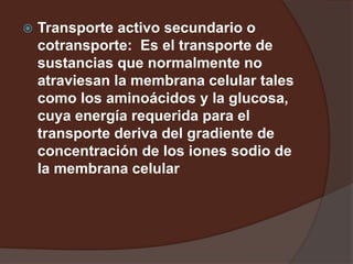  Transporte activo secundario o
cotransporte: Es el transporte de
sustancias que normalmente no
atraviesan la membrana celular tales
como los aminoácidos y la glucosa,
cuya energía requerida para el
transporte deriva del gradiente de
concentración de los iones sodio de
la membrana celular
 