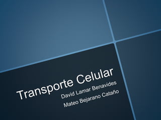 Transporte celular Mateo Bejarano C 11°4