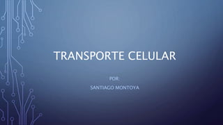 TRANSPORTE CELULAR
POR:
SANTIAGO MONTOYA
 