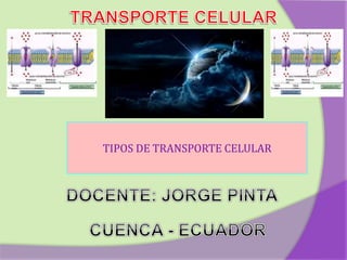 TIPOS DE TRANSPORTE CELULAR
 