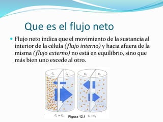 Que es el flujo neto
 Flujo neto indica que el movimiento de la sustancia al
interior de la célula (flujo interno) y hacia afuera de la
misma (flujo externo) no está en equilibrio, sino que
más bien uno excede al otro.
 