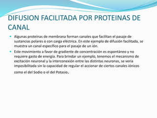 DIFUSION FACILITADA POR PROTEINAS DE
CANAL
 Algunas proteínas de membrana forman canales que facilitan el pasaje de
sustancias polares o con carga eléctrica. En este ejemplo de difusión facilitada, se
muestra un canal específico para el pasaje de un ión.
 Este movimiento a favor de gradiente de concentración es espontáneo y no
requiere gasto de energía. Para brindar un ejemplo, tenemos el mecanismo de
excitación neuronal y la interconexión entre las distintas neuronas, se vería
imposibilitada sin la capacidad de regular el accionar de ciertos canales iónicos
como el del Sodio o el del Potasio.
 