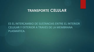 TRANSPORTE CELULAR
ES EL INTERCAMBIO DE SUSTANCIAS ENTRE EL INTERIOR
CELULAR Y EXTERIOR A TRAVES DE LA MEMBRANA
PLASMATICA.
 