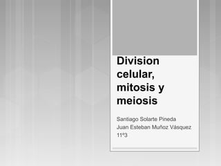 Division
celular,
mitosis y
meiosis
Santiago Solarte Pineda
Juan Esteban Muñoz Vásquez
11º3
 