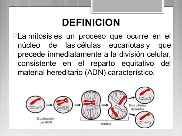 Transporte celular, mitosis y meiosis