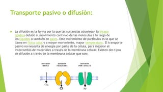 Transporte pasivo o difusión:
 La difusión es la forma por la que las sustancias atraviesan la bicapa
lipídica debido al movimiento contínuo de las moléculas a lo largo de
los líquidos o también en gases. Este movimiento de partículas es lo que se
llama en física calor y a mayor movimiento, mayor temperatura. El transporte
pasivo no necesita de energía por parte de la célula, para mejorar el
intercambio de materiales a través de la membrana celular. Existen dos tipos
de difusión a través de la membrana celular que son:
 