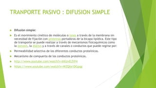 TRANPORTE PASIVO : DIFUSION SIMPLE
 Difusión simple:
 Es el movimiento cinético de moléculas o iones a través de la membrana sin
necesidad de fijación con proteínas portadoras de la bicapa lipídica. Este tipo
de transporte se puede realizar a través de mecanismos fisicoquímicos como
la ósmosis, la diálisis y a través de canales o conductos que puede regirse por:
 Permeabilidad selectiva de los diferentes conductos proteínicos.
 Mecanismo de compuerta de los conductos proteínicos.
 http://www.youtube.com/watch?v=IHtUvELTrP4
 https://www.youtube.com/watch?v=WZQXe1DGpqg
 