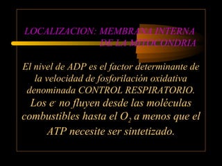 LOCALIZACION: MEMBRANA INTERNA
DE LA MITOCONDRIA
El nivel de ADP es el factor determinante de
la velocidad de fosforilación oxidativa
denominada CONTROL RESPIRATORIO.

Los e- no fluyen desde las moléculas
combustibles hasta el O2 a menos que el
ATP necesite ser sintetizado.

 