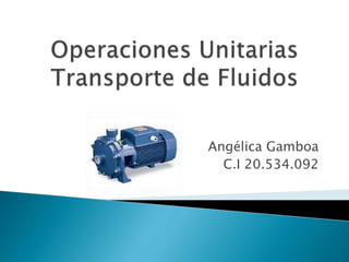 Angélica Gamboa
C.I 20.534.092
 
