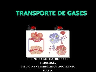 TRANSPORTE DE GASES
GRUPO : COMPLEJO DE GOLGI
FISIOLOGIA
MEDICINA VETERINARIA Y ZOOTECNIA
U.P.E.A.
 