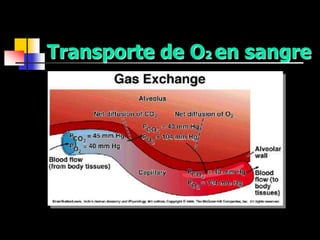 Transporte de O2 en sangre
 