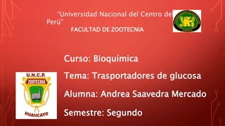 “Universidad Nacional del Centro del
Perú”
FACULTAD DE ZOOTECNIA
Curso: Bioquímica
Tema: Trasportadores de glucosa
Alumna: Andrea Saavedra Mercado
Semestre: Segundo
 