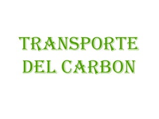TRANSPORTE DEL CARBON 