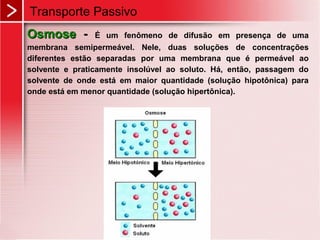 OsmoseOsmose -- É um fenômeno de difusão em presença de uma
membrana semipermeável. Nele, duas soluções de concentrações
diferentes estão separadas por uma membrana que é permeável ao
solvente e praticamente insolúvel ao soluto. Há, então, passagem do
solvente de onde está em maior quantidade (solução hipotônica) para
onde está em menor quantidade (solução hipertônica).
Transporte Passivo
 