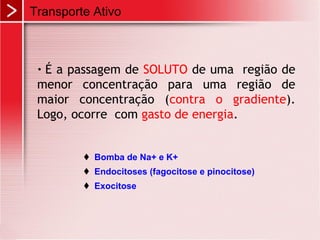 • É a passagem de SOLUTO de uma região de
menor concentração para uma região de
maior concentração (contra o gradiente).
Logo, ocorre com gasto de energia.
Transporte Ativo
 Bomba de Na+ e K+
 Endocitoses (fagocitose e pinocitose)
 Exocitose
 