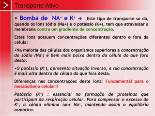 • Bomba de NA+
e K+
 Este tipo de transporte se dá,
quando os íons sódio (Na+) e o potássio (K+), tem que atravessar a
membrana contra um gradiente de concentração.
Estes íons possuem concentrações diferentes dentro e fora da
célula:
•Na maioria das células dos organismos superiores a concentração
do sódio (Na+
) é bem mais baixa dentro da célula do que fora
desta.
•O potássio (K+
), apresenta situação inversa, a sua concentração
é mais alta dentro da célula do que fora desta.
Diferenças nas concentrações deste íons: Fundamental para o
metabolismo celular!!
Potássio (K+
) : essencial na formação de proteínas que
participam da respiração celular. Para compensar o excesso de
K+
, a célula elimina íons Na+
, mantendo assim o equilíbrio
osmótico.
Transporte Ativo
 