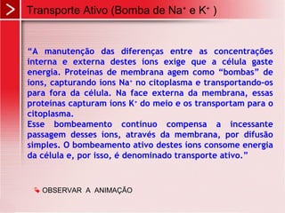 “A manutenção das diferenças entre as concentrações
interna e externa destes íons exige que a célula gaste
energia. Proteínas de membrana agem como “bombas” de
íons, capturando íons Na+
no citoplasma e transportando-os
para fora da célula. Na face externa da membrana, essas
proteínas capturam íons K+
do meio e os transportam para o
citoplasma.
Esse bombeamento contínuo compensa a incessante
passagem desses íons, através da membrana, por difusão
simples. O bombeamento ativo destes íons consome energia
da célula e, por isso, é denominado transporte ativo.”
Transporte Ativo (Bomba de Na+
e K+
)
 OBSERVAR A ANIMAÇÃO
 