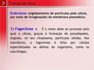 1) Fagocitose  É o nome dado ao processo pelo
qual a célula, graças à formação de pseudópodos,
engloba, no seu citoplasma, partículas sólidas. Nos
mamíferos, a fagocitose é feita por células
especializadas na defesa do organismo, como os
macrófagos.
Transporte Ativo
Endocitose: englobamento de partículas pela célula,
por meio de invaginações da membrana plasmática.
 