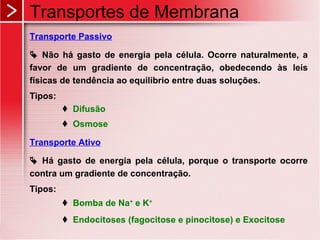 Transportes de Membrana
Transporte Passivo
 Não há gasto de energia pela célula. Ocorre naturalmente, a
favor de um gradiente de concentração, obedecendo às leis
físicas de tendência ao equilíbrio entre duas soluções.
Tipos:
 Difusão
 Osmose
Transporte Ativo
 Há gasto de energia pela célula, porque o transporte ocorre
contra um gradiente de concentração.
Tipos:
 Bomba de Na+
e K+
 Endocitoses (fagocitose e pinocitose) e Exocitose
 