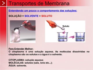 Transportes de Membrana
Entendendo um pouco o comportamento das soluções:
SOLUÇÃO = SOLVENTE + SOLUTO
Para Entender Melhor:
O citoplasma é uma solução aquosa. As moléculas dissolvidas no
citoplasma são os solutos e a água é o solvente.
CITOPLASMA: solução aquosa;
MOLÉCULAS: solutos (sais, íons etc...);
ÁGUA: solvente.
 