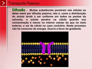 Transporte Passivo
DifusãoDifusão - Muitas substâncias penetram nas células ou
delas saem por difusão passiva, isto é, como a distribuição
do soluto tende a ser uniforme em todos os pontos do
solvente, o soluto penetra na célula quando sua
concentração é menor no interior celular do que no meio
externo, e sai da célula no caso contrário. Neste processo
não há consumo de energia. Ocorre a favor do gradiente.
 