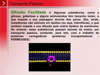 Difusão Facilitada  Algumas substâncias, como a
glicose, galactose e alguns aminoácidos têm tamanho maior, o
que impede a sua passagem através dos poros. São, ainda,
substâncias não solúveis em lipídios (ou seja, hidrofílicas), o que
também impede a sua difusão pela matriz lipídica da membrana.
No entanto, estas substâncias passam através da matriz, por
transporte passivo, contando, para isto, com o trabalho de
proteínas carregadoras (proteínas transportadoras -
PERMEASES).
Transporte Passivo
 