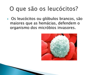  Os leucócitos ou glóbulos brancos, são maiores que as hemácias, defendem o organismo dos micróbios invasores.  O que são os leucócitos? 