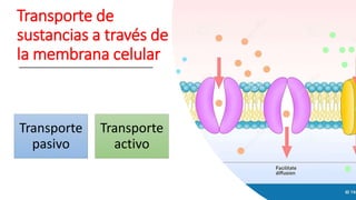 Transporte de
sustancias a través de
la membrana celular
Transporte
pasivo
Transporte
activo
 