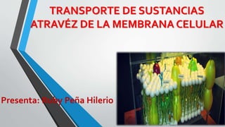 TRANSPORTE DE SUSTANCIAS
ATRAVÉZ DE LA MEMBRANA CELULAR
Presenta: Ruby Peña Hilerio
 