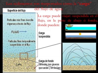 Los sedimentos son trasportados como la “carga”
                del flujo de agua:
                 La carga puede viajar: suspendida en el
                 flujo, en la parte de abajo ó fondo,
                 donde pueden:
 
