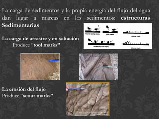 La carga de sedimentos y la propia energía del flujo del agua
dan lugar a marcas en los sedimentos: estructuras
Sedimentarias

La carga de arrastre y en saltación
    Produce “tool marks”




La erosión del flujo
Produce “scour marks”
 