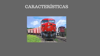CARACTERÍSTICAS
 