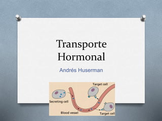 Transporte 
Hormonal 
Andrés Huserman 
 