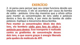EXERCÍCIO
2. Já parou para pensar que seu corpo funciona devido aos
impulsos nervosos. E ele só acontece por causa da bomba
de sódio - potássio. Uma das maneiras que a célula utiliza
para manter as concentrações de íons sódio e potássio
dentro e fora da célula, é por meio da bomba de sódio-
potássio. Explique o mecanismo dessa bomba.
Para manter as concentrações ideais dos dois
íons, ela bombeia sódio para fora da célula e
potássio para dentro. Esse transporte é realizado
contra os gradientes de concentração desses
dois íons, o que ocorre graças à energia liberada
pela quebra da molécula de ATP.
 